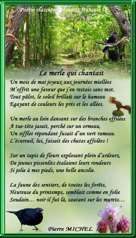 052_Un-merle-qui-chantait