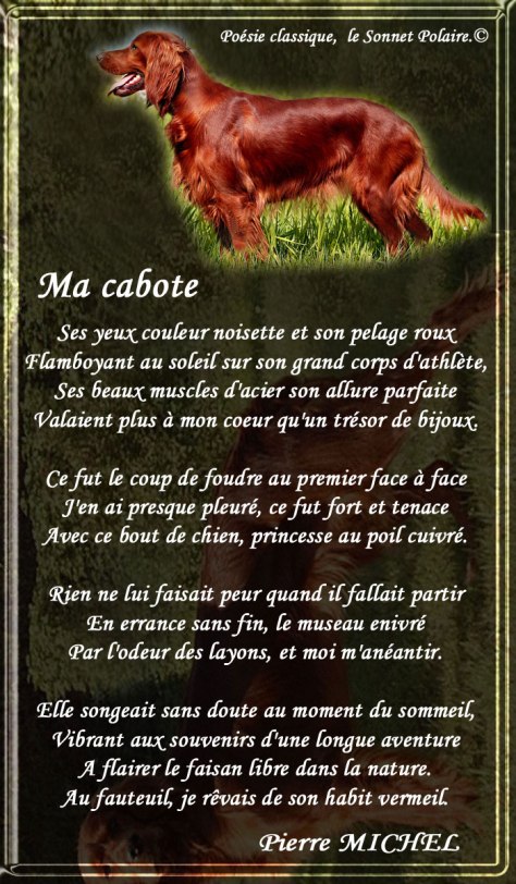 119_SONNET-POLAIRE_Ma-Cabote___eee