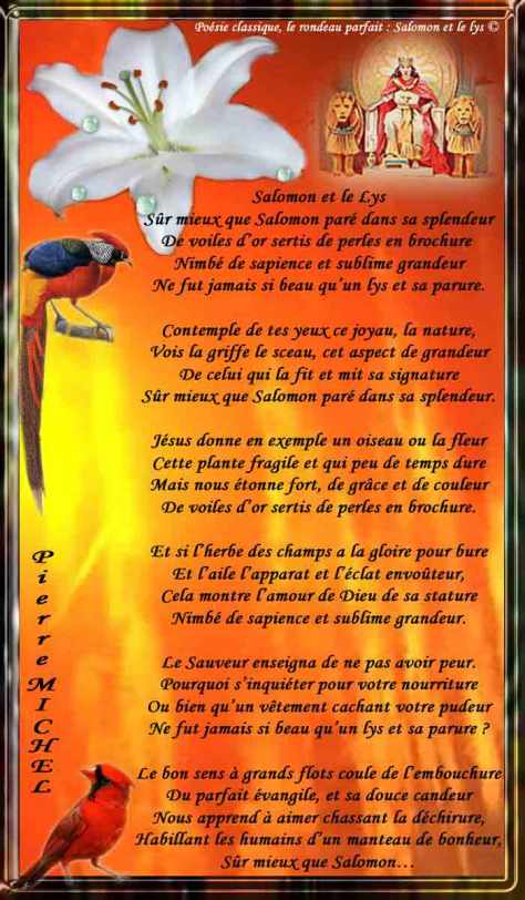 141_RONDEAU PARFAIT_ Salomon et le Lys