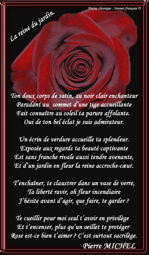 48_SONNET-FRANÇAIS_La-reine-du-jardin_____)
